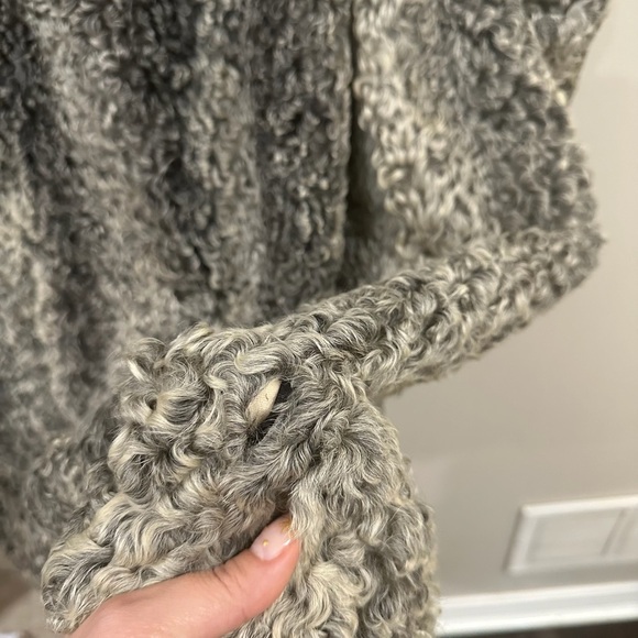 Gray Teddy/Lambs Jacket/Coat with Cozy Texture and Classic Silhouette. - Picture 12 of 16